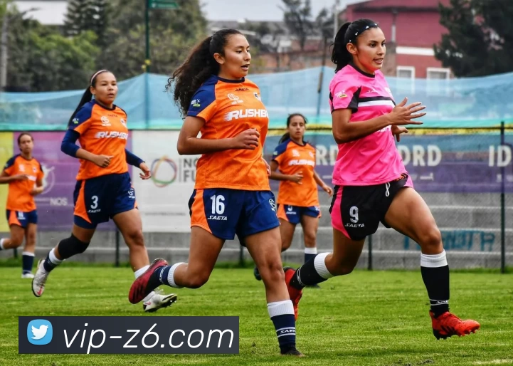 尊龙凯时平台生态图